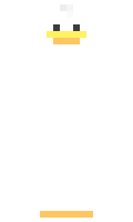 pizzwizard minecraft skin