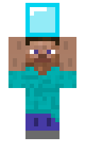 c03c02b3e724d8 minecraft skin