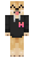 fnkyheh minecraft skin