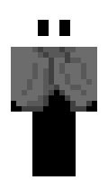 Pulsee23 minecraft skin