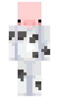 c071ee456d9955 minecraft skin