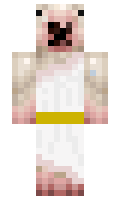 Thundercloud minecraft skin