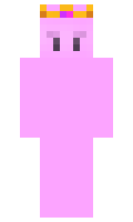 elpro345 minecraft skin