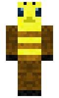 c0e3edc4305973 minecraft skin