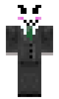 noooooooo minecraft skin