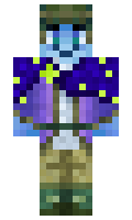 c101095c00d94d minecraft skin