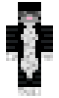 TheElCucuy minecraft skin