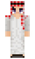 FLy minecraft skin
