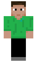 12335 minecraft skin