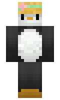 c142afa5ea7ac7 minecraft skin