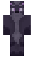 B022B07 minecraft skin