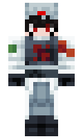 ds2725 minecraft skin