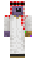 Fagmister minecraft skin