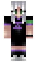 c173433fb2b91c minecraft skin