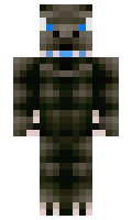 cccgggomg minecraft skin