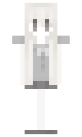 S1 minecraft skin