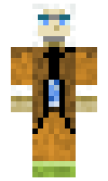 pirta minecraft skin