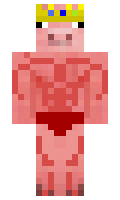 2743 minecraft skin