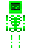 c1e4a571e99289 minecraft skin