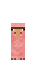 lolipopl minecraft skin