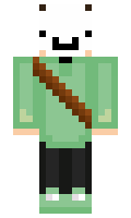 ChampDil2011 minecraft skin