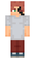 fjinok minecraft skin