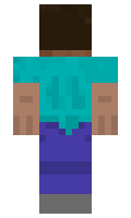 c2174549ed2aa1 minecraft skin