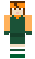 Tseco minecraft skin