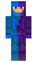 n1n minecraft skin