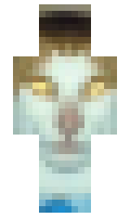 Roboalpaca minecraft skin