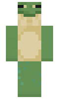 Ferbyys minecraft skin