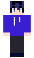 c240622f881202 minecraft skin