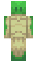 Turtleking2042 minecraft skin