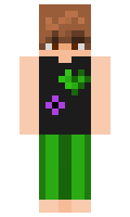 c244e222c3bf3b minecraft skin