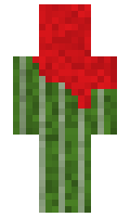 Bulwell minecraft skin