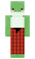 froggie7 minecraft skin