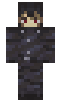 BEE3E minecraft skin