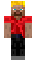Servator minecraft skin