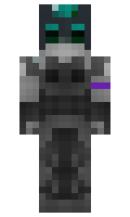 c2954c8c79b6bc minecraft skin