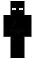 raphyy minecraft skin