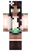 c2d65c3d8f8187 minecraft skin