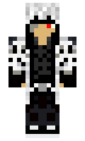 248 minecraft skin