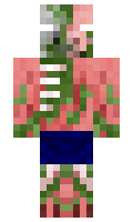 Piggybrine111 minecraft skin