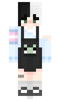 c3007850500e33 minecraft skin