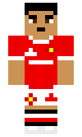 c3014403c87995 minecraft skin