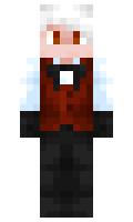 c310cd54c2be47 minecraft skin