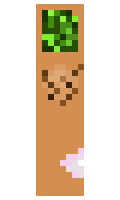 RobbiesBigToe minecraft skin