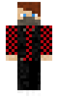 c3611e1b366f76 minecraft skin