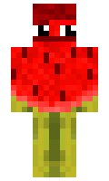 Melonten minecraft skin