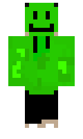 dawidr11 minecraft skin